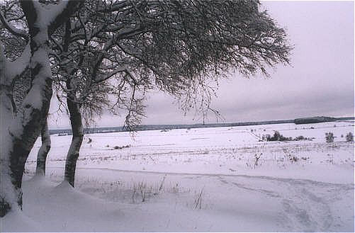 Wanderung um Hasselfelde zu den R�cksperrbecken der Rappbodetalsperre
