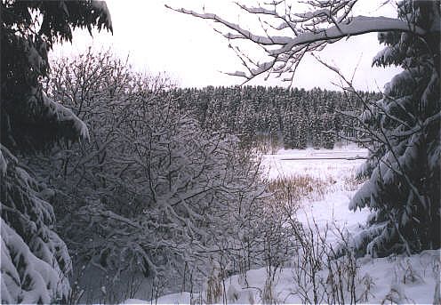 Blick auf das Hasselfelder R�cksperrbecken
