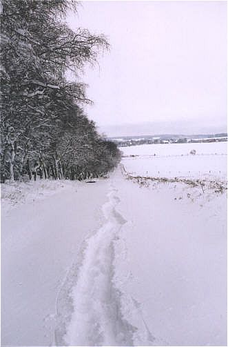 Auf dem Weg der K�nige rund um Hasselfelde