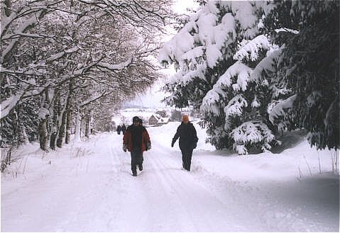 Und weiter durch den tief verschneiten Wald