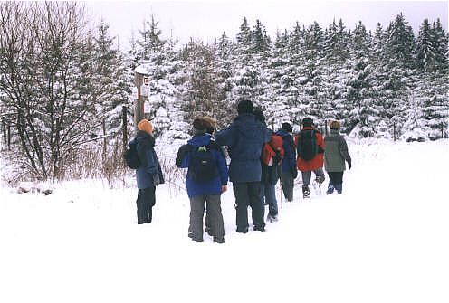 Und weiter durch den tief verschneiten Wald