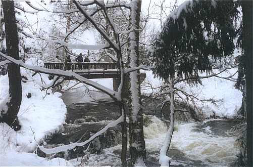 Die Hassel am Trimm-Dich-Pfad in der N�he des K�seberges