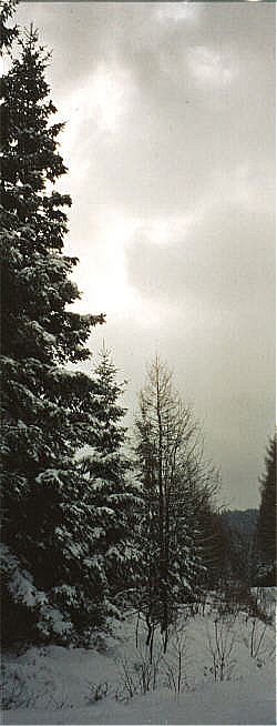 Zeit, um verpa�te Winterbilder nachzuholen