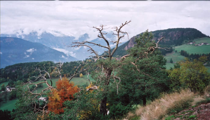 Vom Beimsteinknott zum Rotsteinknott